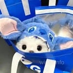 Avatar de Beatriz Lozano